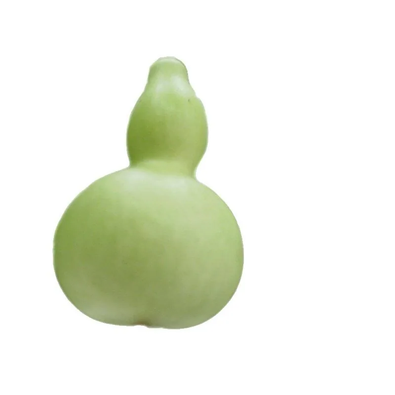 Gourd seeds, giant wine fairy, gourd seeds, extra-large wine gourd, courtyard balcony, potted plant, climbing vine, vegetable se 3