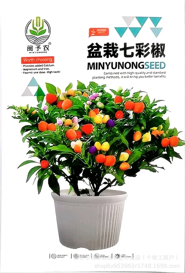 Early maturing extra-large horn pepper seeds, horn peppers, green pepper seeds, sharp peppers, high-yield vegetables in spring 9