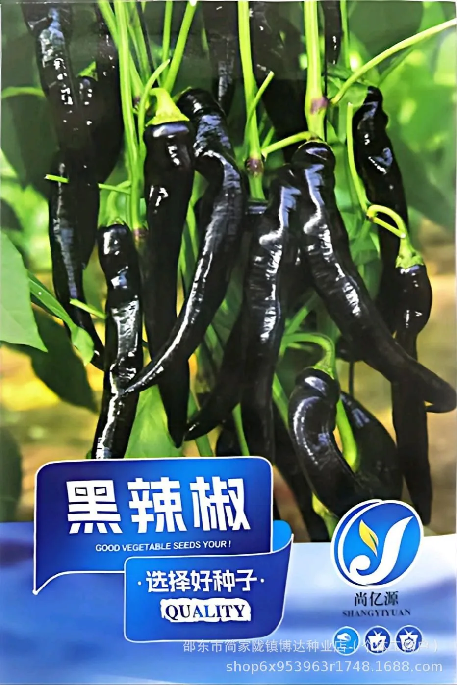 Early maturing extra-large horn pepper seeds, horn peppers, green pepper seeds, sharp peppers, high-yield vegetables in spring 15