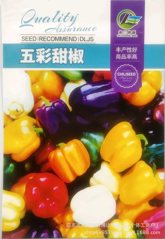 Early maturing extra-large horn pepper seeds, horn peppers, green pepper seeds, sharp peppers, high-yield vegetables in spring 4