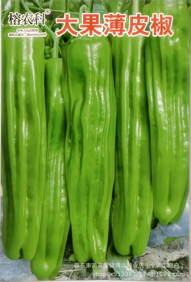 Early maturing extra-large horn pepper seeds, horn peppers, green pepper seeds, sharp peppers, high-yield vegetables in spring 8