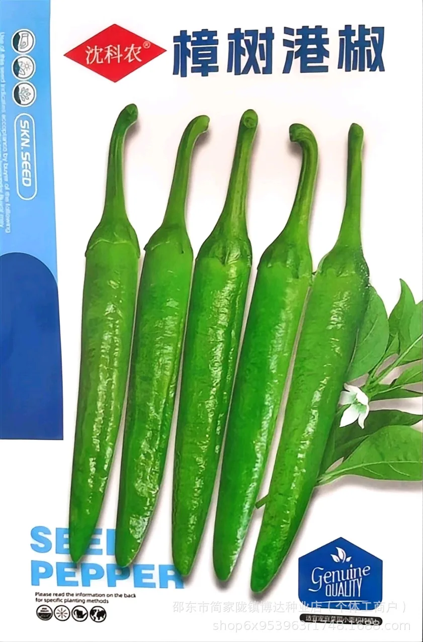 Early maturing extra-large horn pepper seeds, horn peppers, green pepper seeds, sharp peppers, high-yield vegetables in spring 13
