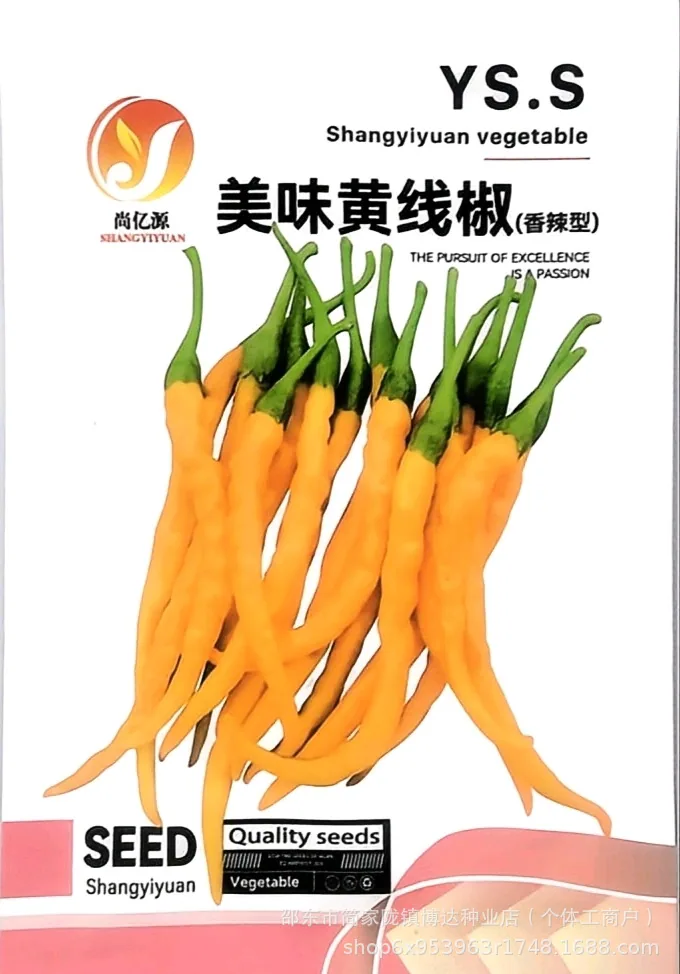 Early maturing extra-large horn pepper seeds, horn peppers, green pepper seeds, sharp peppers, high-yield vegetables in spring 11