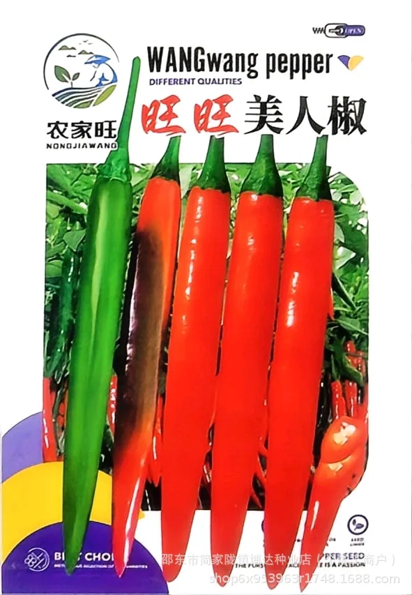 Early maturing extra-large horn pepper seeds, horn peppers, green pepper seeds, sharp peppers, high-yield vegetables in spring 12