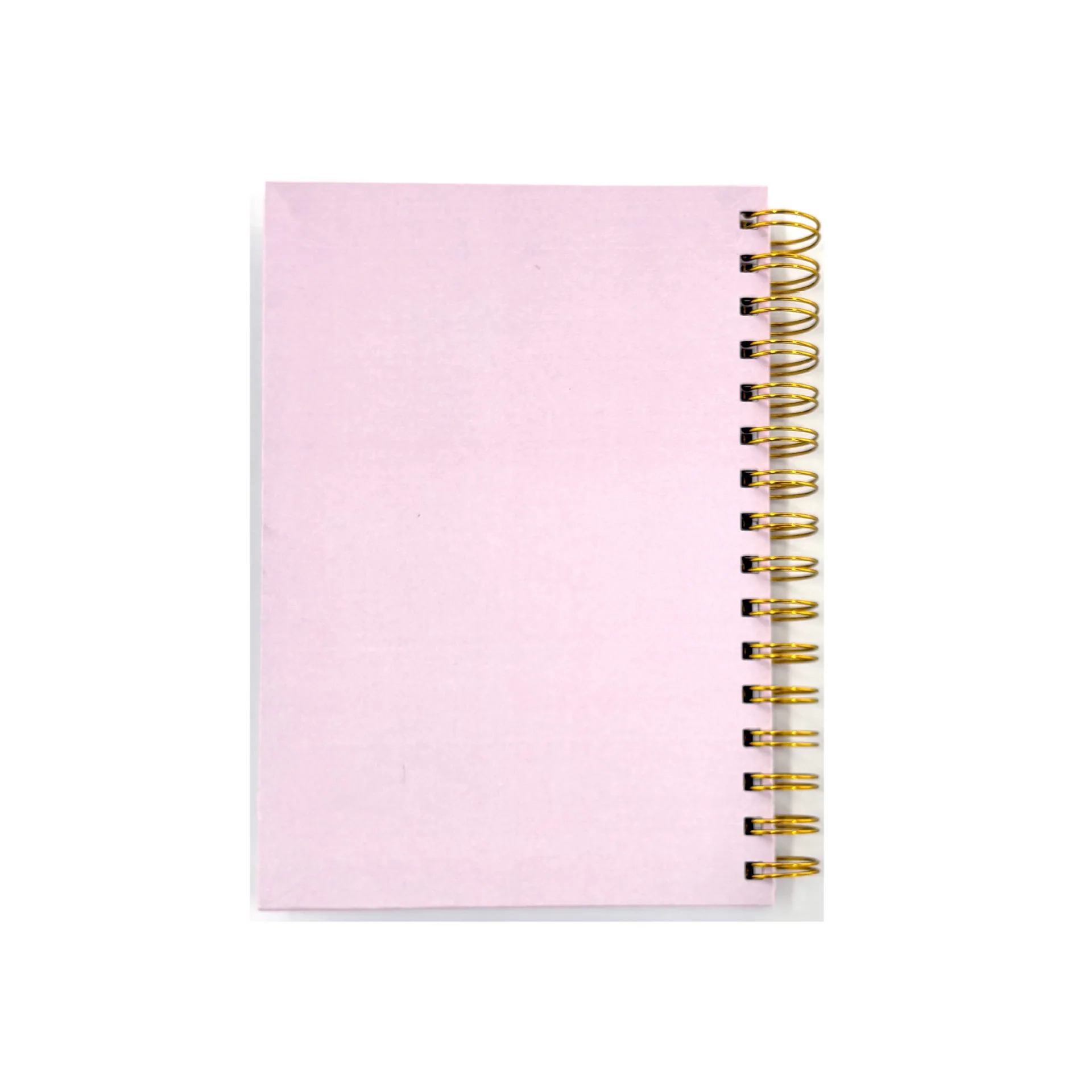 Cross-border customization amazon hot sale A5 eco-friendly coil notebook inspirational metal humbucker hard shell coil book 2