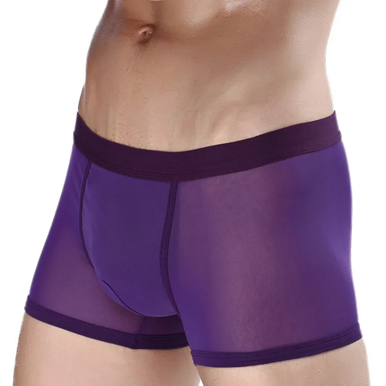 Factory direct men's mesh transparent boxer briefs sexy mesh hollow breathable boxer panties shorts 4