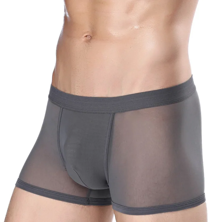 Factory direct men's mesh transparent boxer briefs sexy mesh hollow breathable boxer panties shorts 2