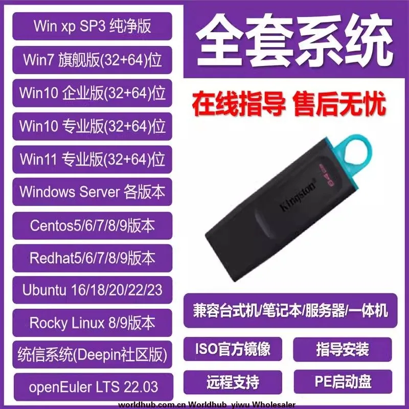 Customized U disk computer system installation capacity Win7/10/11 reinstallation PE one-click installation pure version install