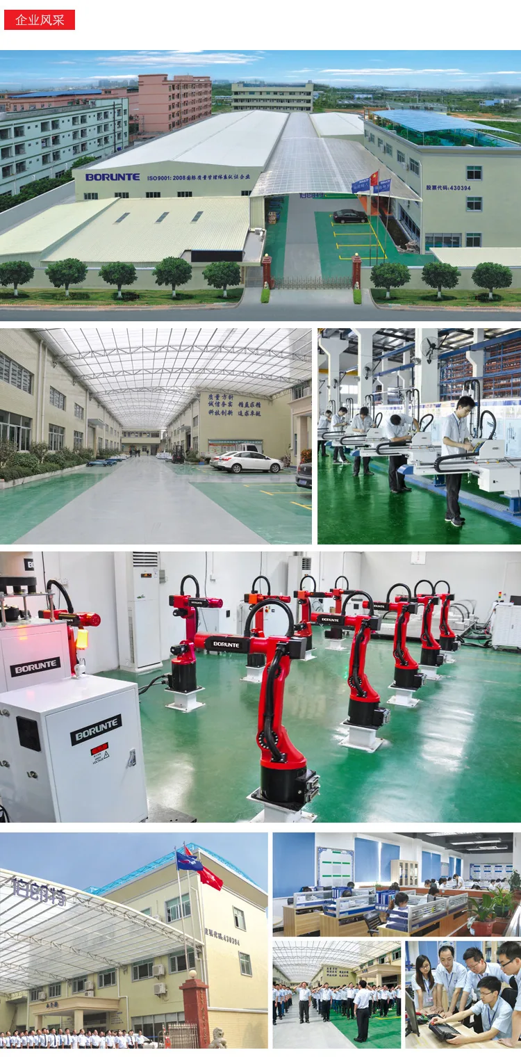 Six degrees of freedom industrial spraying robot supply Bronte injection molding manipulator robotic arm multi-joint robot 13