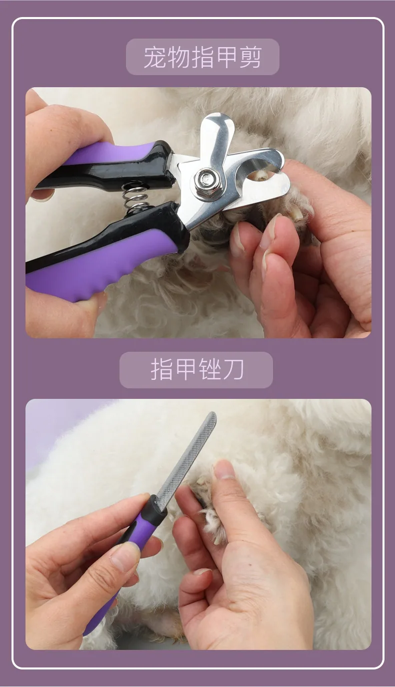 Pet supplies pet cleaning set button beauty comb nail clippers file hairdressing scissors hairdressing comb 20
