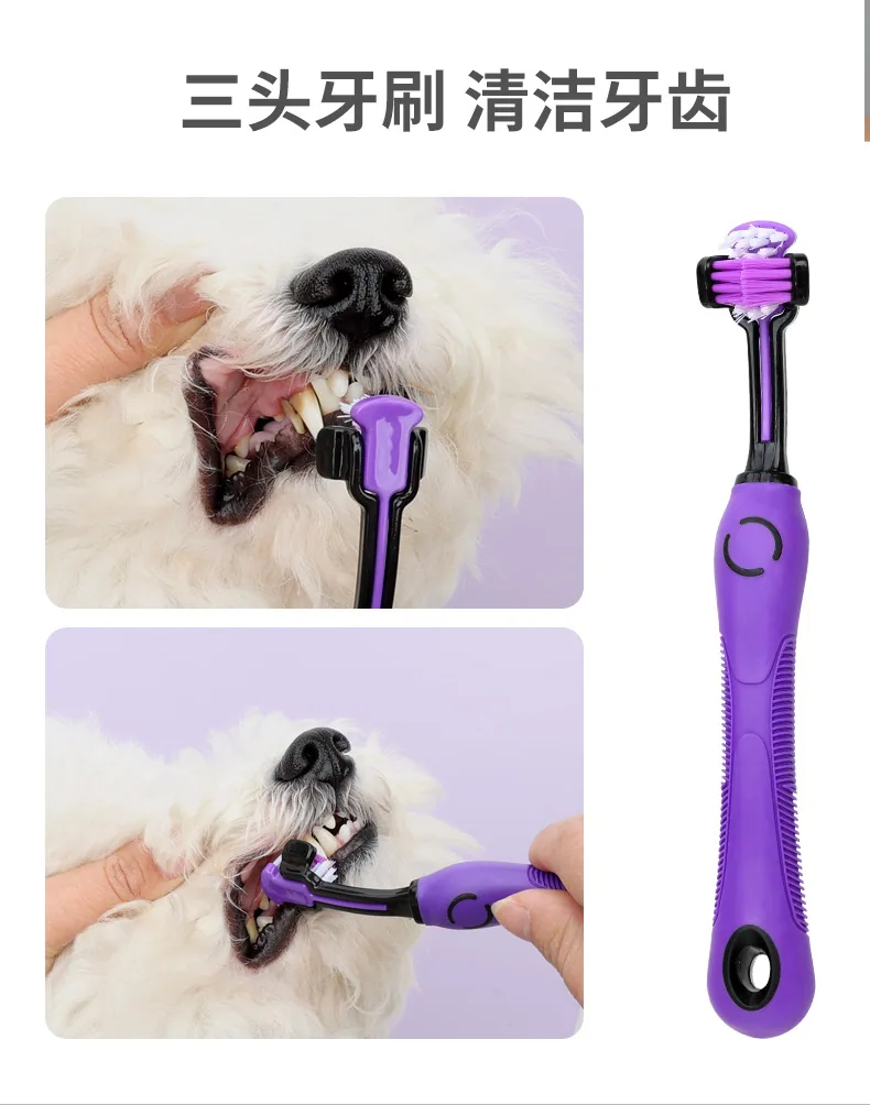 Pet supplies pet cleaning set button beauty comb nail clippers file hairdressing scissors hairdressing comb 16