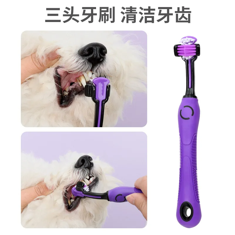 Pet supplies pet cleaning set button beauty comb nail clippers file hairdressing scissors hairdressing comb 2