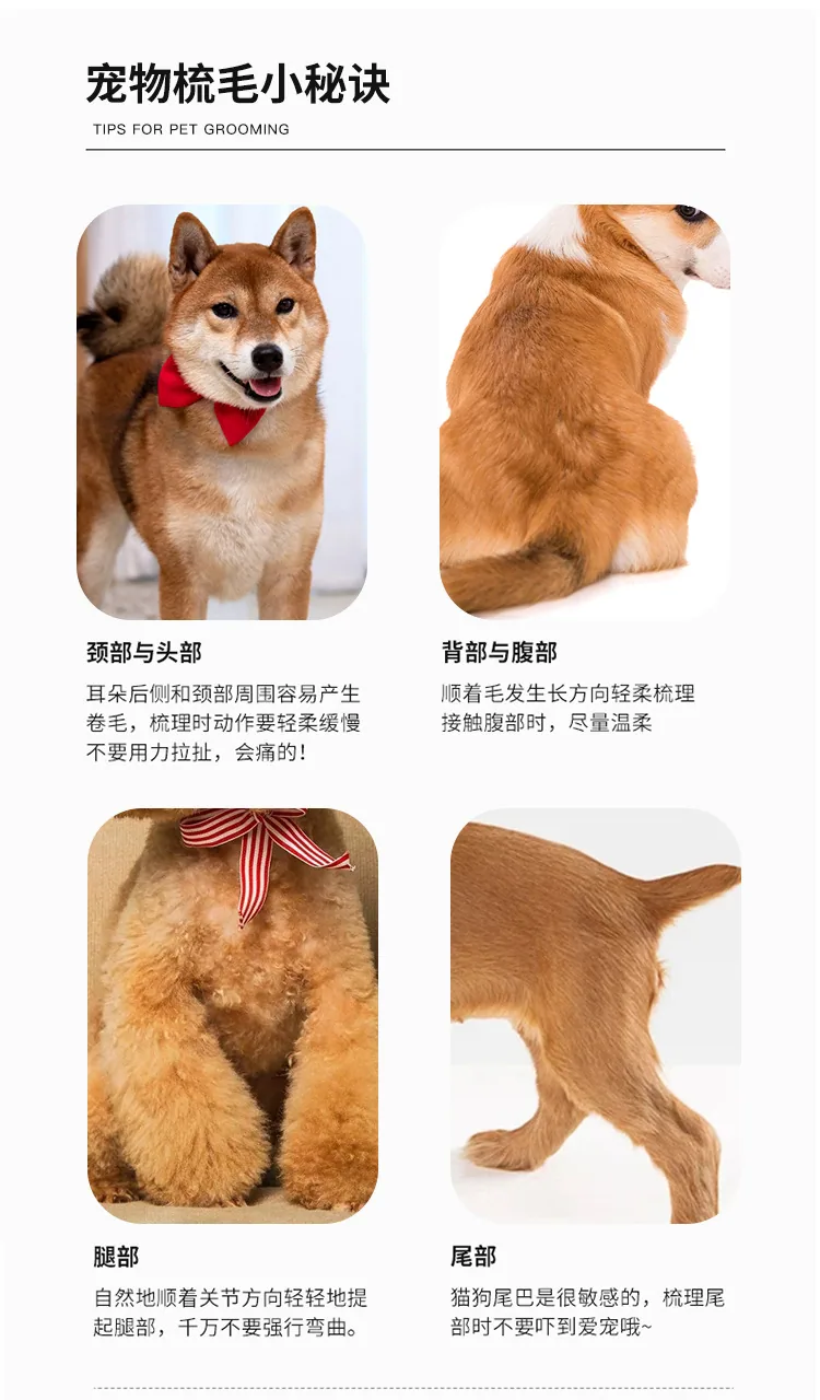 Cross-border hot sale pet comb dog hair removal knot comb dual-purpose metal steel needle comb set dog comb 9
