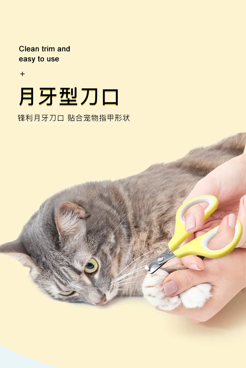 Pet Supplies Cat Comb Set Hair Removal Mini Brushing Needle Comb Pet cat and dog comb set 15