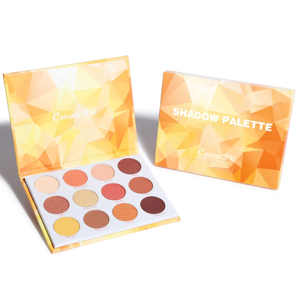 CmaaDu 12 color matte metal flash eye shadow plate 10