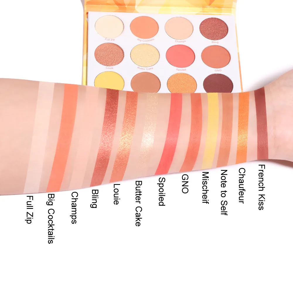 CmaaDu 12 color matte metal flash eye shadow plate 9