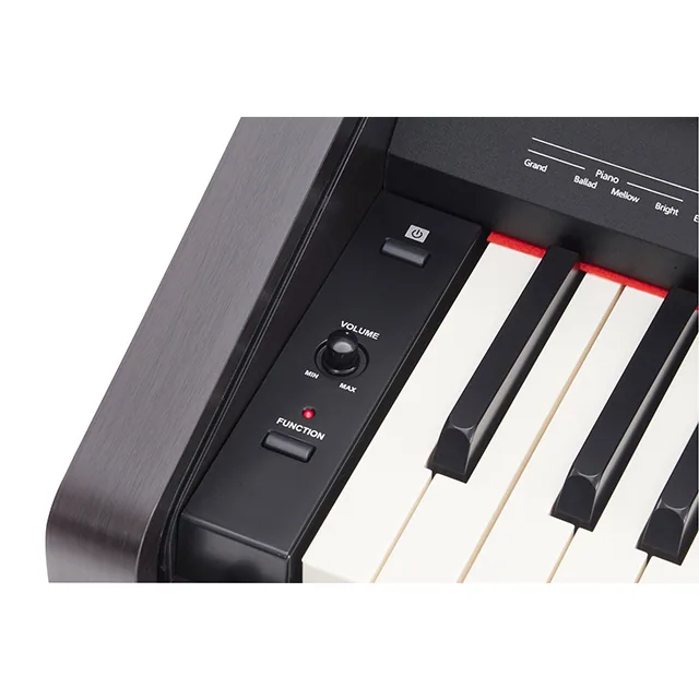 Roland RP-30 Digitalpiano, 88 Tasten, E-Piano-Tastatur 5