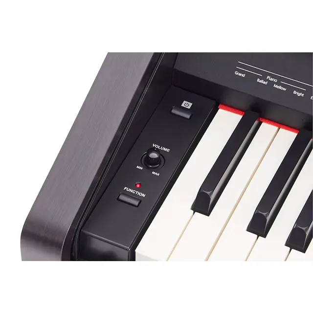 Roland RP-30 Digitalpiano, 88 Tasten, E-Piano-Tastatur 2